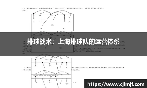 排球战术：上海排球队的运营体系
