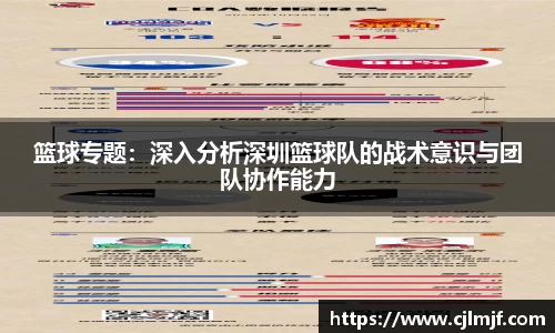 篮球专题：深入分析深圳篮球队的战术意识与团队协作能力