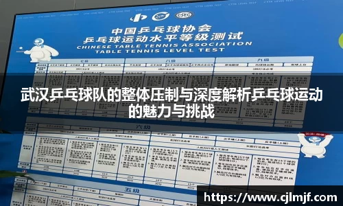 武汉乒乓球队的整体压制与深度解析乒乓球运动的魅力与挑战