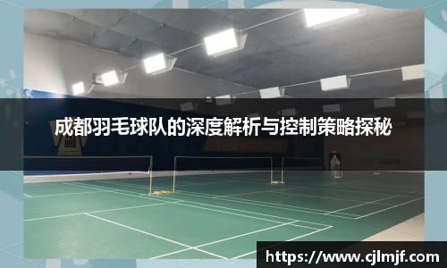 成都羽毛球队的深度解析与控制策略探秘