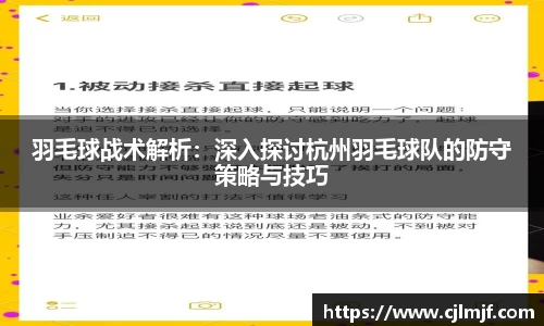 羽毛球战术解析：深入探讨杭州羽毛球队的防守策略与技巧