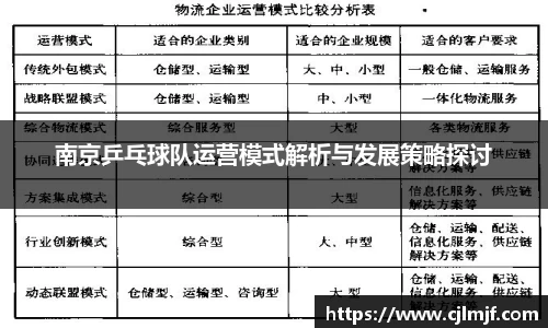 南京乒乓球队运营模式解析与发展策略探讨