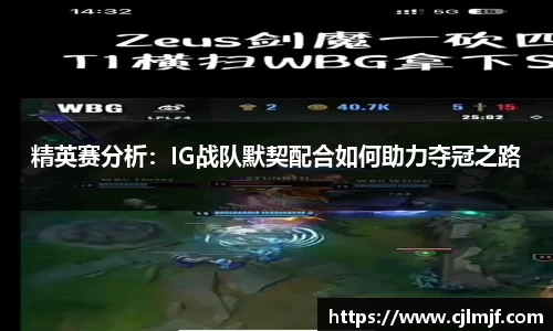 精英赛分析：IG战队默契配合如何助力夺冠之路
