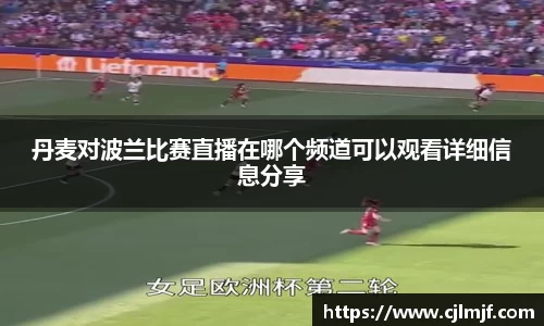 丹麦对波兰比赛直播在哪个频道可以观看详细信息分享