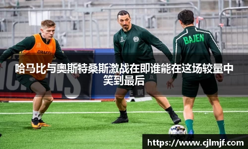 星空·综合(中国)体育官方网站